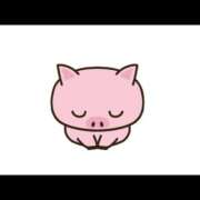 ヒメ日記 2026/01/19 21:27 投稿 ことの ハピネス東京