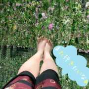 ヒメ日記 2025/08/09 22:14 投稿 【G】りんね ウルトラセレブリティ