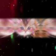 ヒメ日記 2025/08/13 20:55 投稿 【G】りんね ウルトラセレブリティ