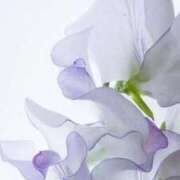 新人・純菜(じゅんな) お礼日記💌O様 グランドオペラ東京