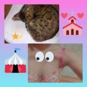 ヒメ日記 2025/08/14 22:32 投稿 もか 熟女の風俗最終章　越谷店