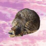 ヒメ日記 2025/08/24 00:12 投稿 もか 熟女の風俗最終章　越谷店