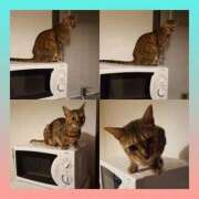 ヒメ日記 2025/09/21 18:55 投稿 もか 熟女の風俗最終章　越谷店