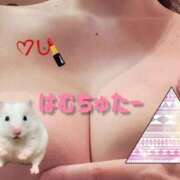 ヒメ日記 2025/10/28 12:08 投稿 もか 熟女の風俗最終章　越谷店