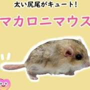 ヒメ日記 2026/04/25 02:10 投稿 もか 熟女の風俗最終章　越谷店