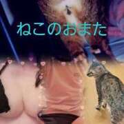 ヒメ日記 2026/07/19 23:32 投稿 もか 熟女の風俗最終章　越谷店