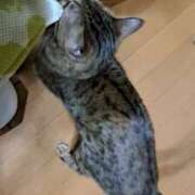 ヒメ日記 2025/08/11 01:42 投稿 もか 熟女の風俗最終章 西川口店