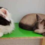 ヒメ日記 2025/08/13 18:22 投稿 もか 熟女の風俗最終章 西川口店