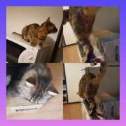 ヒメ日記 2025/09/23 18:52 投稿 もか 熟女の風俗最終章 西川口店