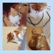 ヒメ日記 2025/09/28 01:22 投稿 もか 熟女の風俗最終章 西川口店