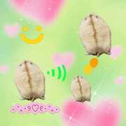 ヒメ日記 2025/11/08 20:42 投稿 もか 熟女の風俗最終章 西川口店