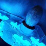 ヒメ日記 2026/01/08 22:12 投稿 もか 熟女の風俗最終章 西川口店