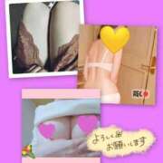 ヒメ日記 2026/03/20 13:50 投稿 もか 熟女の風俗最終章 西川口店