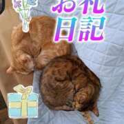 ヒメ日記 2026/03/23 01:20 投稿 もか 熟女の風俗最終章 西川口店