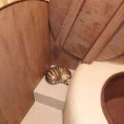 ヒメ日記 2026/04/12 14:24 投稿 もか 熟女の風俗最終章 西川口店