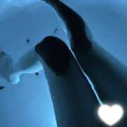 ヒメ日記 2025/09/01 20:22 投稿 にこ クラブ バレンタイン大阪