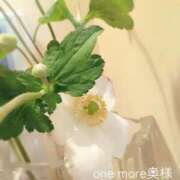 ヒメ日記 2025/10/23 11:45 投稿 みかぜ One More奥様　横浜関内店