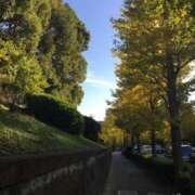 ヒメ日記 2025/10/23 14:32 投稿 みかぜ One More奥様　横浜関内店