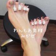 ヒメ日記 2026/01/22 17:29 投稿 みかぜ One More奥様　横浜関内店