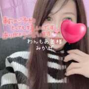 ヒメ日記 2026/01/24 15:43 投稿 みかぜ One More奥様　横浜関内店