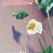 ヒメ日記 2026/01/25 20:01 投稿 みかぜ One More奥様　横浜関内店