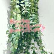 ヒメ日記 2026/01/25 20:30 投稿 みかぜ One More奥様　横浜関内店