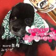 ヒメ日記 2026/01/26 20:00 投稿 みかぜ One More奥様　横浜関内店