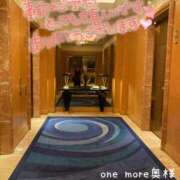 ヒメ日記 2026/01/31 15:20 投稿 みかぜ One More奥様　横浜関内店