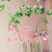 ヒメ日記 2026/02/04 00:49 投稿 みかぜ One More奥様　横浜関内店