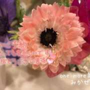 ヒメ日記 2026/02/06 00:29 投稿 みかぜ One More奥様　横浜関内店