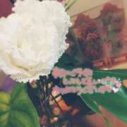 ヒメ日記 2026/02/12 02:12 投稿 みかぜ One More奥様　横浜関内店