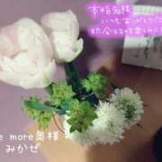 ヒメ日記 2026/02/19 21:32 投稿 みかぜ One More奥様　横浜関内店