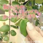 ヒメ日記 2026/03/24 15:15 投稿 みかぜ One More奥様　横浜関内店