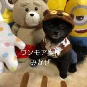 ヒメ日記 2026/04/03 00:00 投稿 みかぜ One More奥様　横浜関内店