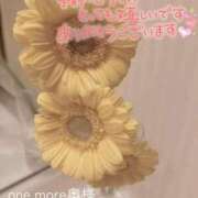 ヒメ日記 2026/04/07 17:03 投稿 みかぜ One More奥様　横浜関内店