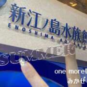 ヒメ日記 2026/04/09 00:00 投稿 みかぜ One More奥様　横浜関内店