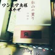 みかぜ 今日はどれにする？ One More奥様　横浜関内店
