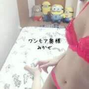 ヒメ日記 2026/05/30 14:15 投稿 みかぜ One More奥様　横浜関内店