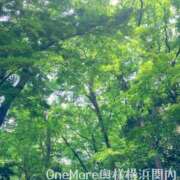 ヒメ日記 2026/08/27 11:00 投稿 みかぜ One More奥様　横浜関内店