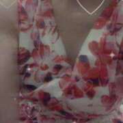 ヒメ日記 2025/08/21 13:45 投稿 ユキミ ルパン