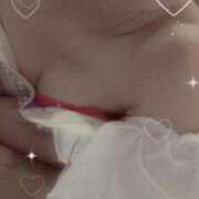 ヒメ日記 2025/08/31 08:45 投稿 ユキミ ルパン