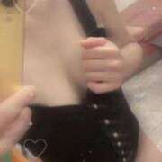 ヒメ日記 2025/09/10 08:45 投稿 ユキミ ルパン