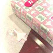 ヒメ日記 2025/09/24 20:45 投稿 ユキミ ルパン