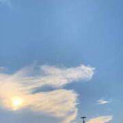 ヒメ日記 2025/10/04 09:01 投稿 ユキミ ルパン