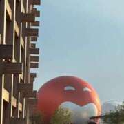 ヒメ日記 2025/10/31 08:45 投稿 ユキミ ルパン