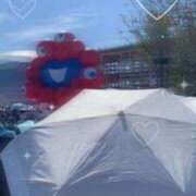 ヒメ日記 2025/11/04 08:45 投稿 ユキミ ルパン