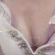 ヒメ日記 2026/03/17 17:02 投稿 ユキミ ルパン