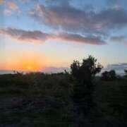 ヒメ日記 2026/04/21 17:02 投稿 ユキミ ルパン