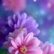 ヒメ日記 2025/12/12 22:20 投稿 まゆな アイスキャンディーラブ