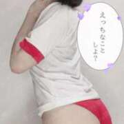 ヒメ日記 2025/08/06 19:29 投稿 ちわわ ウルトラドリーム